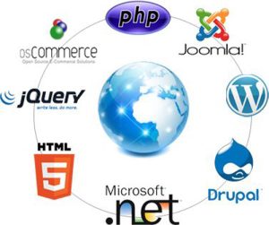 وردپرس - CMS اختصاصی