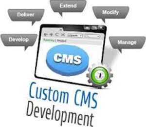 وردپرس - CMS اختصاصی