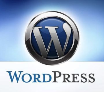 وردپرس - CMS اختصاصی